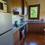 Geneta
